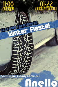 winter_rally